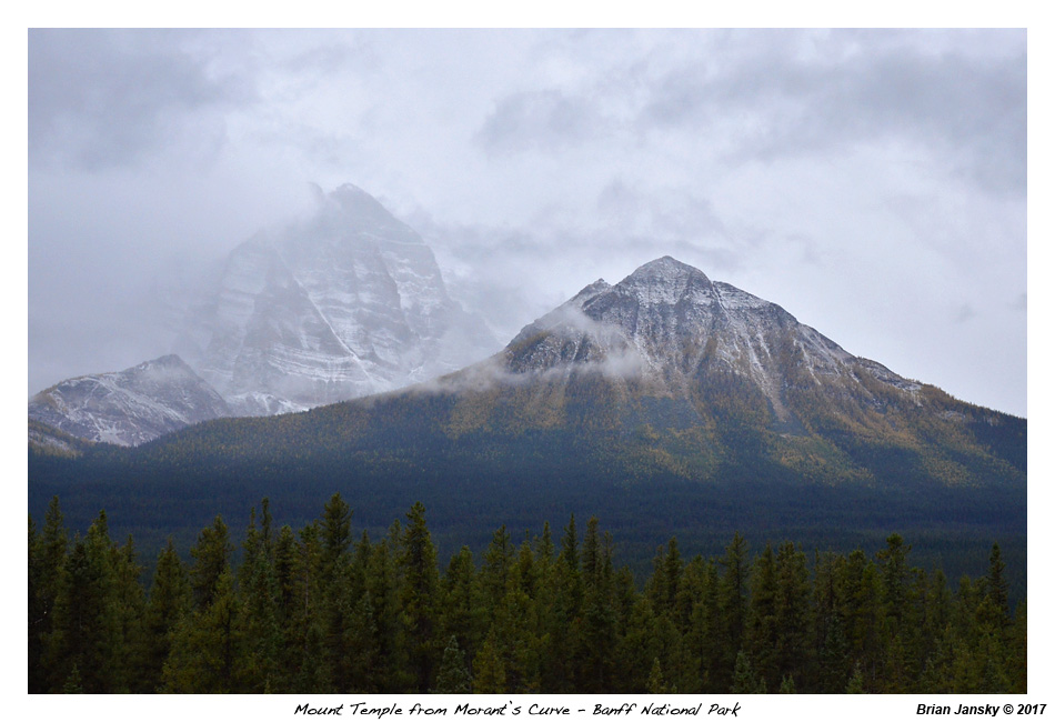 Stacks Image 500